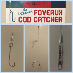 Foveaux Cod Catcher